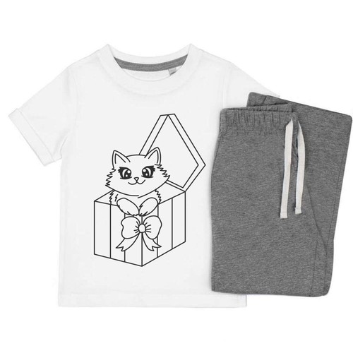 Christmas cat gift box - in, box'